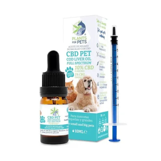 CBD Pet 10% - 10ml