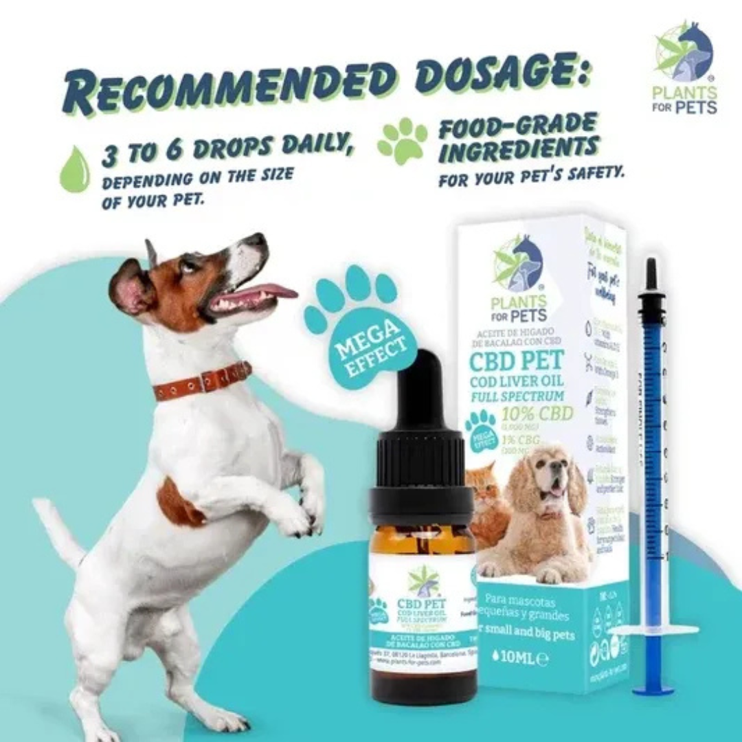 CBD Pet 10% - 10ml