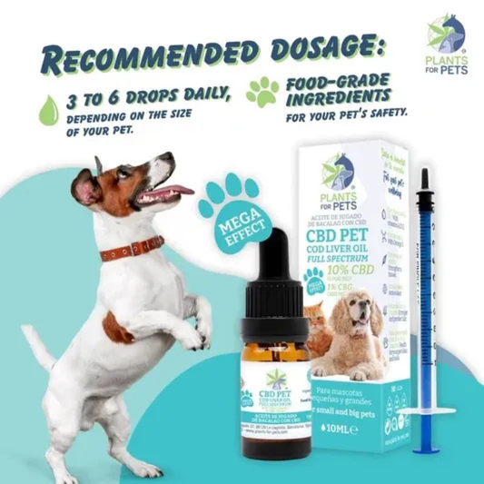 CBD Pet 10% - 10ml